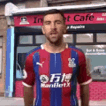 Crystal Palace Tragic Video GIF - Crystal Palace Tragic Video Soccer GIFs