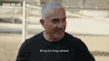 Bring The Dogs Please Cesar Millan GIF - Bring The Dogs Please Cesar Millan Cesar Millan Better Human Better Dog GIFs