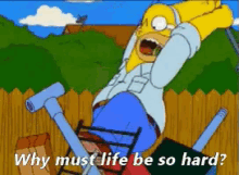 Homer Why GIF - Homer Why Thesimpsons GIFs