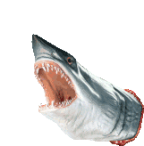 Shark Mouth Jaw Sticker - Shark Mouth Shark Jaw Stickers