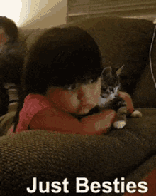 Cats Pussy Cats GIF - Cats Pussy Cats Kitty GIFs