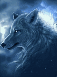 Wolf White Wolf GIF - Wolf White Wolf Fierce GIFs