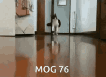 76 mog76