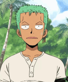 one piece one piece zoro zoro zoro what one piece what
