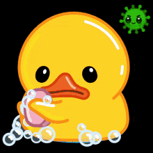shaeduh duck