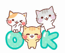 Ok Sticker Okay Sticker GIF - Ok Sticker Okay Sticker Cat Sticker GIFs