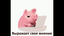 %D1%85%D0%BE%D1%85%D0%BE%D0%BB %D1%81%D0%B2%D0%B8%D0%BD%D1%8C%D1%8F
