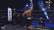 Im The Best Arm In Air GIF - Im The Best Arm In Air Like A Champion GIFs