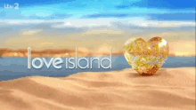 Beach Day Love Island GIF - Beach Day Love Island GIFs