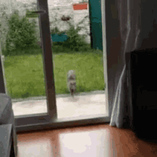 Wipe Out Cat GIF - Wipe Out Cat Fail GIFs