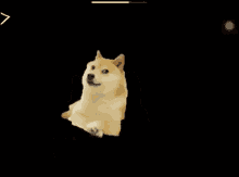 Dog Doge GIF - Dog Doge Meme GIFs