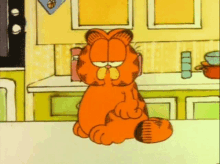 Garfield Cat GIF - Garfield Cat Staring GIFs