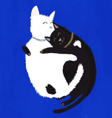 Crazy Cat Lady Agnes Loonstra GIF - Crazy Cat Lady Agnes Loonstra Illustration GIFs