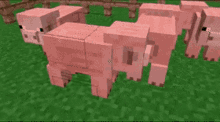 minecraft cursed pig hit destroy
