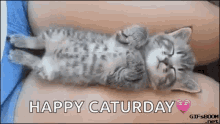 Cats Cute GIF - Cats Cute Sleepy GIFs