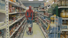 Uncleben Grocery GIF - Uncleben Grocery Spiderman GIFs