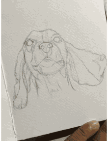 doggo sketch drawing dog