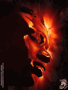 fx face