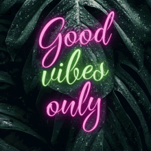 good vibes good vibes only positive vibes positive neon good vibes good vibes only positive vibes positive neon