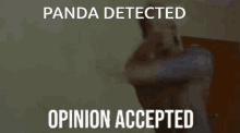 Opinion Accepted Zyzz GIF - Opinion Accepted Zyzz GIFs