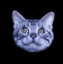 Magic Cat GIF - Magic Cat Hypnotized GIFs