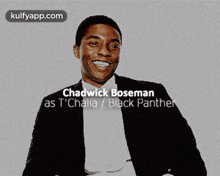 Chadwick Bosemanas T'Challa / Black Panther.Gif GIF - Chadwick Bosemanas T'Challa / Black Panther Chadwick Boseman Clothing GIFs