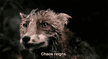 Antichrist Chaos Reigns GIF - Antichrist Chaos Reigns Fox GIFs