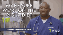 make sure were on the right diet dr terrence ferguson critter fixers a goose with a broken leg right diet