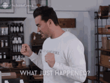 What Just Happened David Rose GIF - What Just Happened David Rose David GIFs