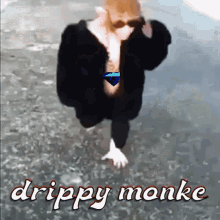 Blue Diamond Monkey Drippy Monkey GIF - Blue Diamond Monkey Drippy Monkey Crypto Gemology GIFs