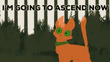 Jake Ascend GIF - Jake Ascend Meanwhile In Twolegplace GIFs