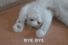 Bye Bye Cat GIF - Bye Bye Cat Kitten GIFs