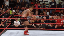 santino marella santino wwe wwe santino wwe santino marella santino marella santino wwe wwe santino wwe santino marella