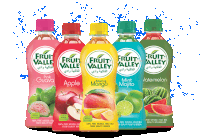 Fruit Valley Drink Sticker - Fruit Valley Drink Juice Stickers