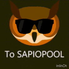 Sapio Sapiopool GIF - Sapio Sapiopool Sapioi GIFs