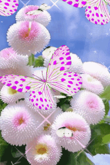 Lovely Pink Piks GIF - Lovely Pink Piks Buterfly GIFs