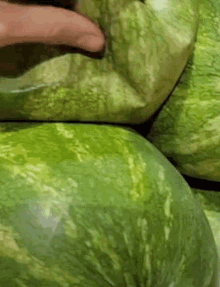 Watermelon Sugar High GIF - Watermelon Sugar High GIFs