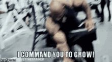 Lifting I Command You To Grow GIF - Lifting I Command You To Grow Muscle GIFs