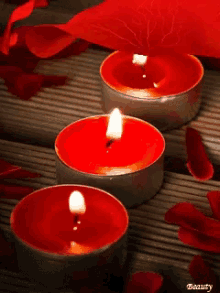 Candles Petals GIF - Candles Petals Rose GIFs
