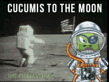 Pickleverse Moon GIF - Pickleverse Moon To The Moon GIFs