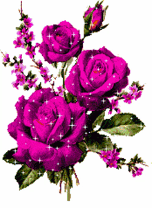 roses sparkles roses of love roses for you beautiful roses