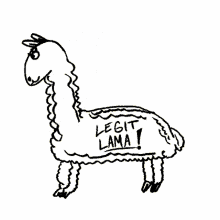 fabulous lama