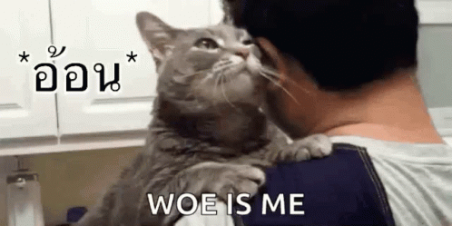 Cat Hug Me GIF - Cat Hug Me Love Me - Discover &amp; Share GIFs