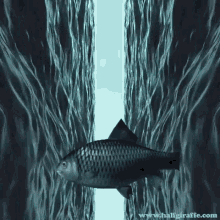 Swimming Digital Art GIF - Swimming Digital Art Fish GIFs