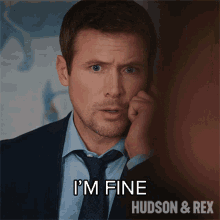 Im Fine Charlie Hudson GIF - Im Fine Charlie Hudson Hudson And Rex GIFs