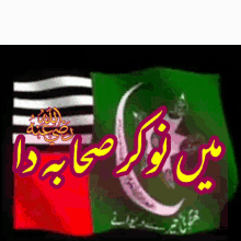 Rana Farooqi Flag GIF - Rana Farooqi Flag Wave GIFs