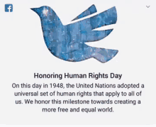 Honouring Human GIF - Honouring Human Right GIFs