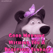 Good Morning Butterfly GIF - Good Morning Butterfly Smile GIFs