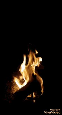 bonfire fire