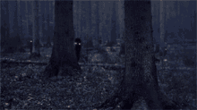 "Hide Behinds" GIF - Halloween Spooky Creepy GIFs